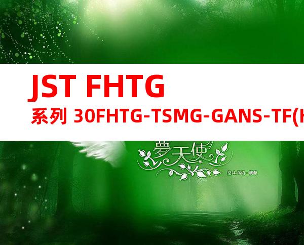 JST FHTG系列 30FHTG-TSMG-GANS-TF(HF)产品图纸